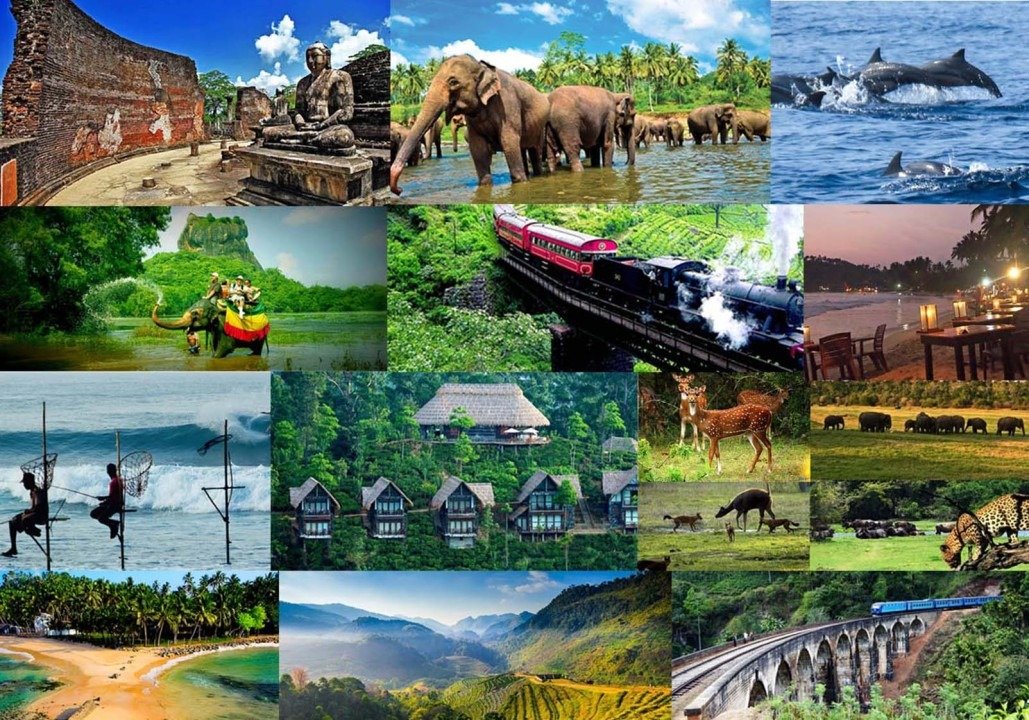 The Classic Sri Lanka Discovery Tour