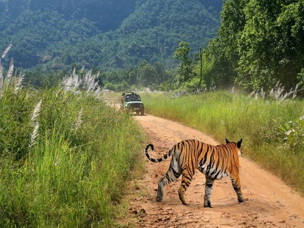 Tigergarh Bandhavgarh