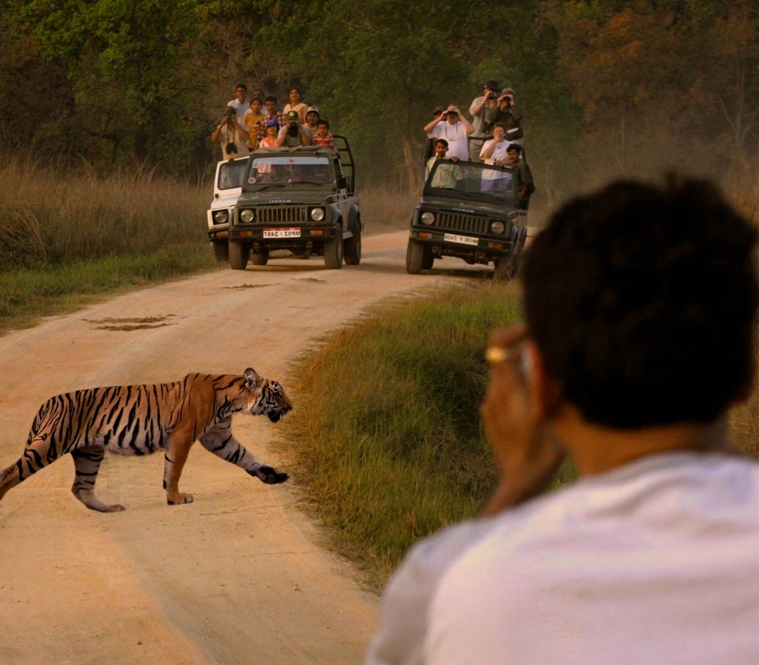 Pench Tree Lodge